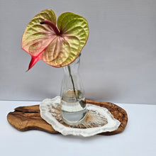 Load image into Gallery viewer, The Aurora Tray – Resin Elegance with Gold Accents